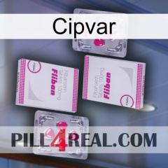 Cipvar 33